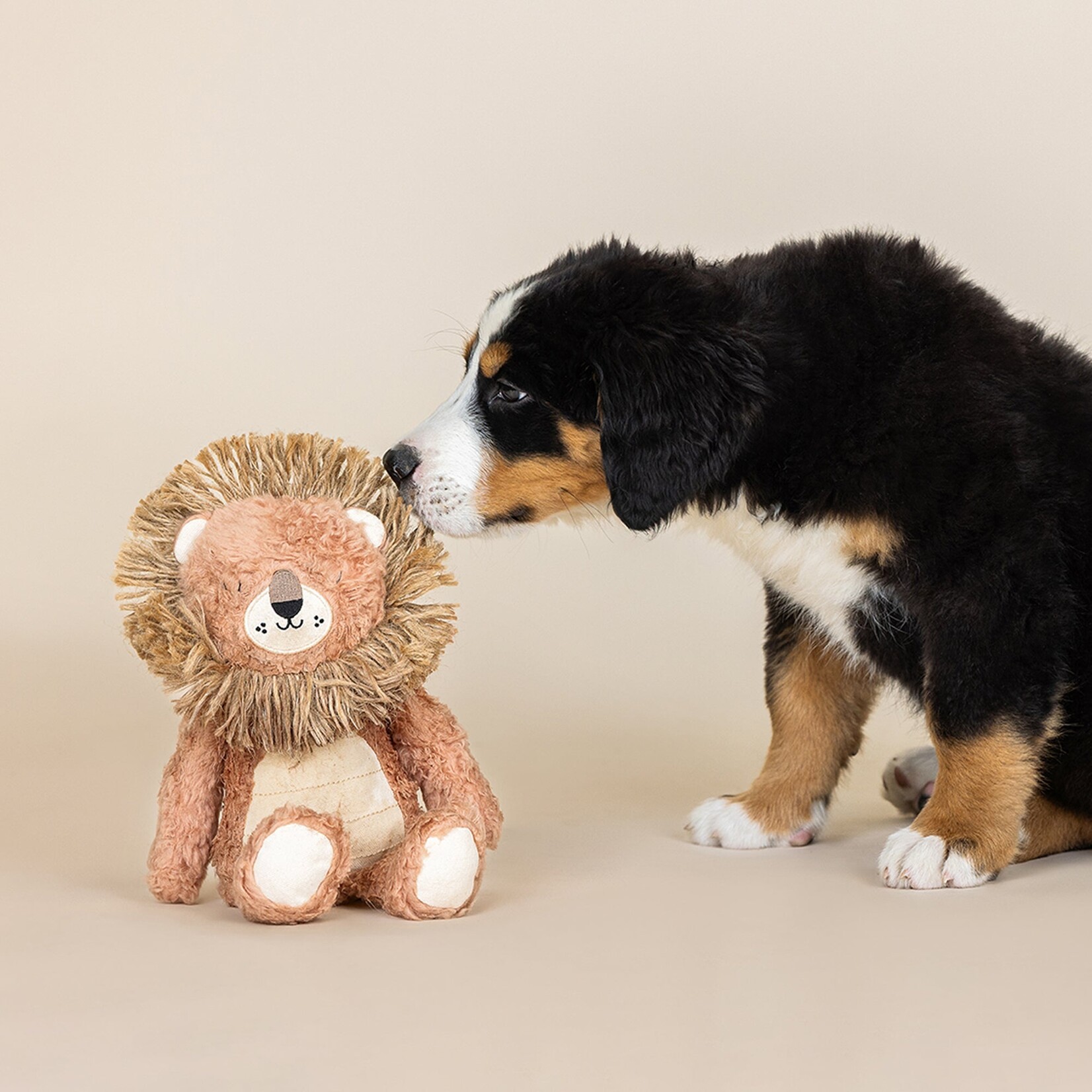 Pet Shop - Earth Friendly - Mighty Mane