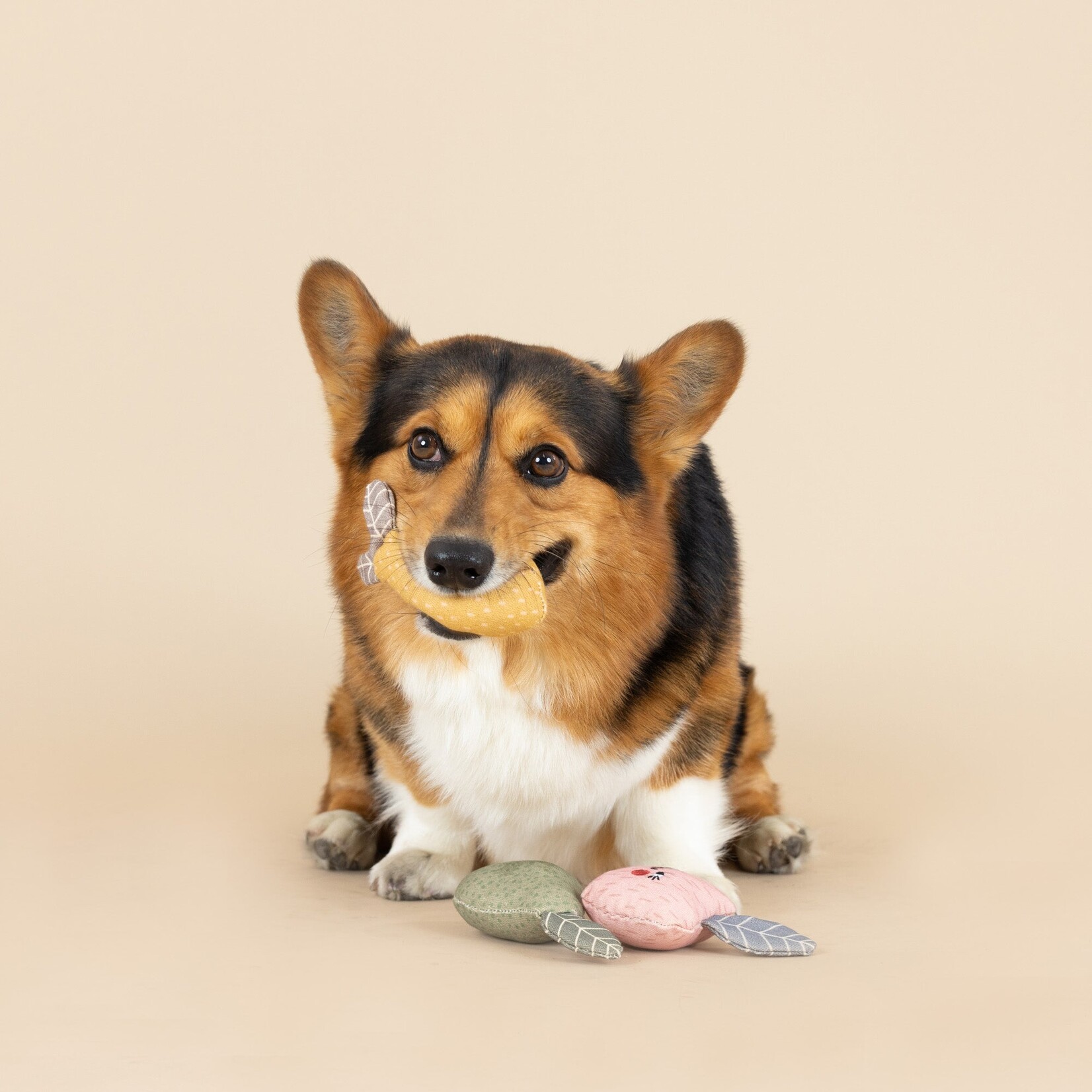 Pet Shop - Set of 3 - Freshly Picked