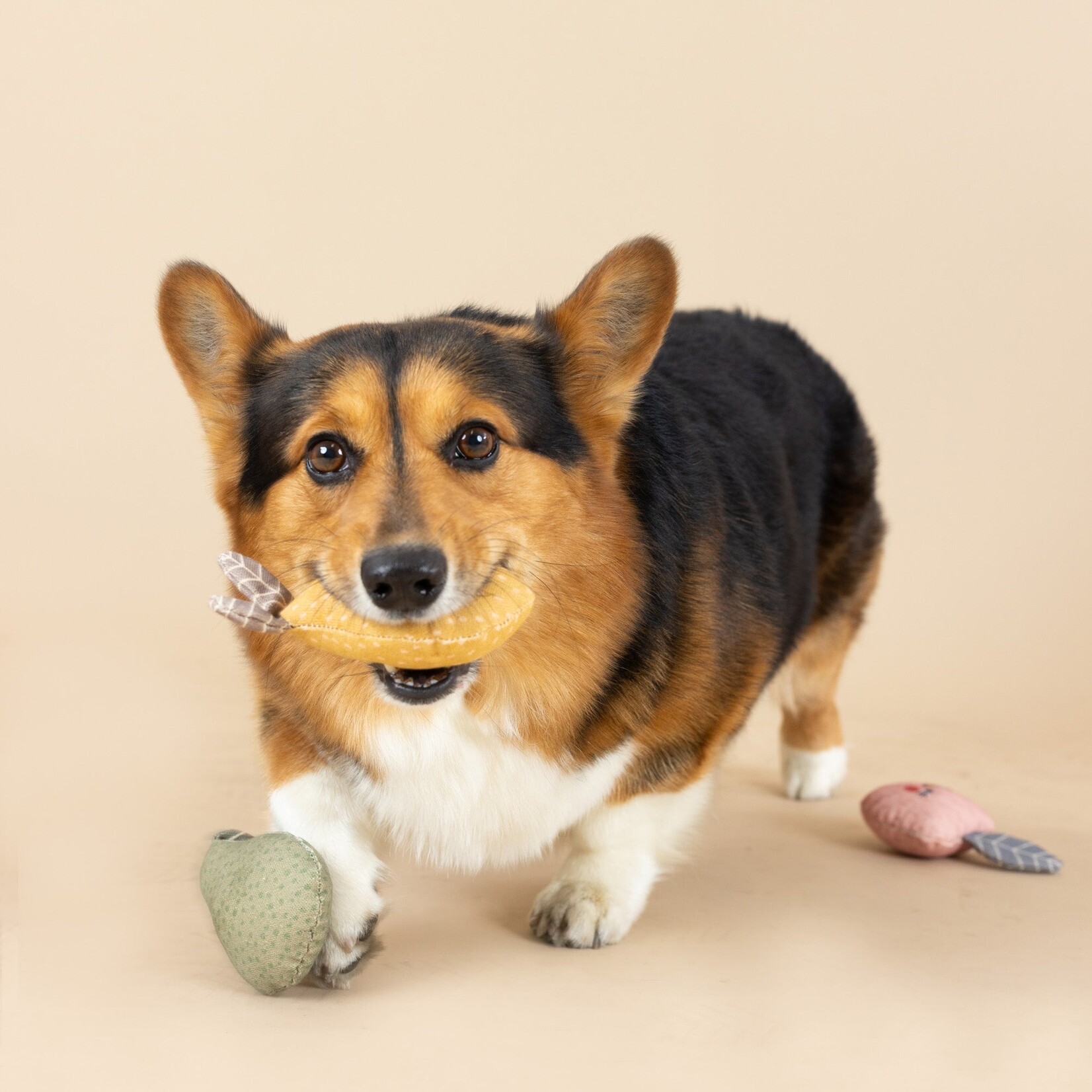 Pet Shop - Set of 3 - Freshly Picked
