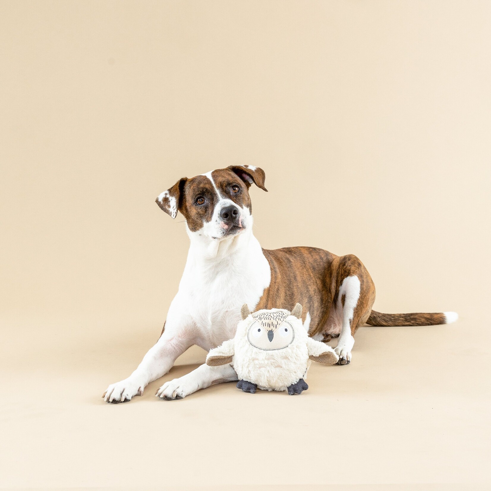 PetShop - Earth Friendly - Whoooo's There?