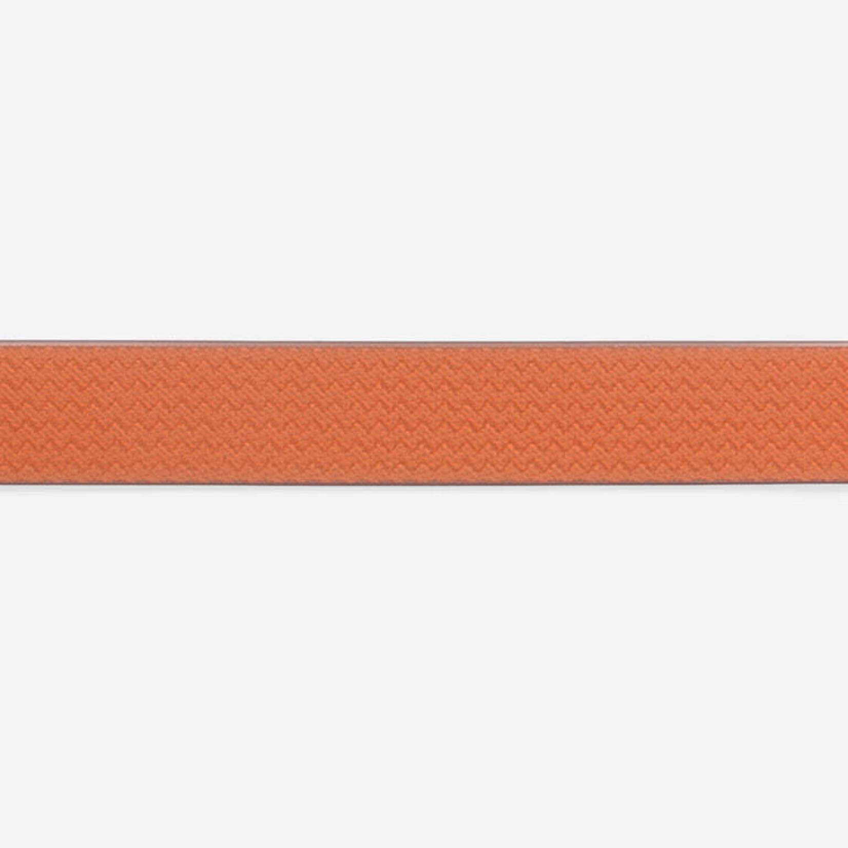 ZeeDog Zee Cat - Collier pour chat NeopPro - Iris