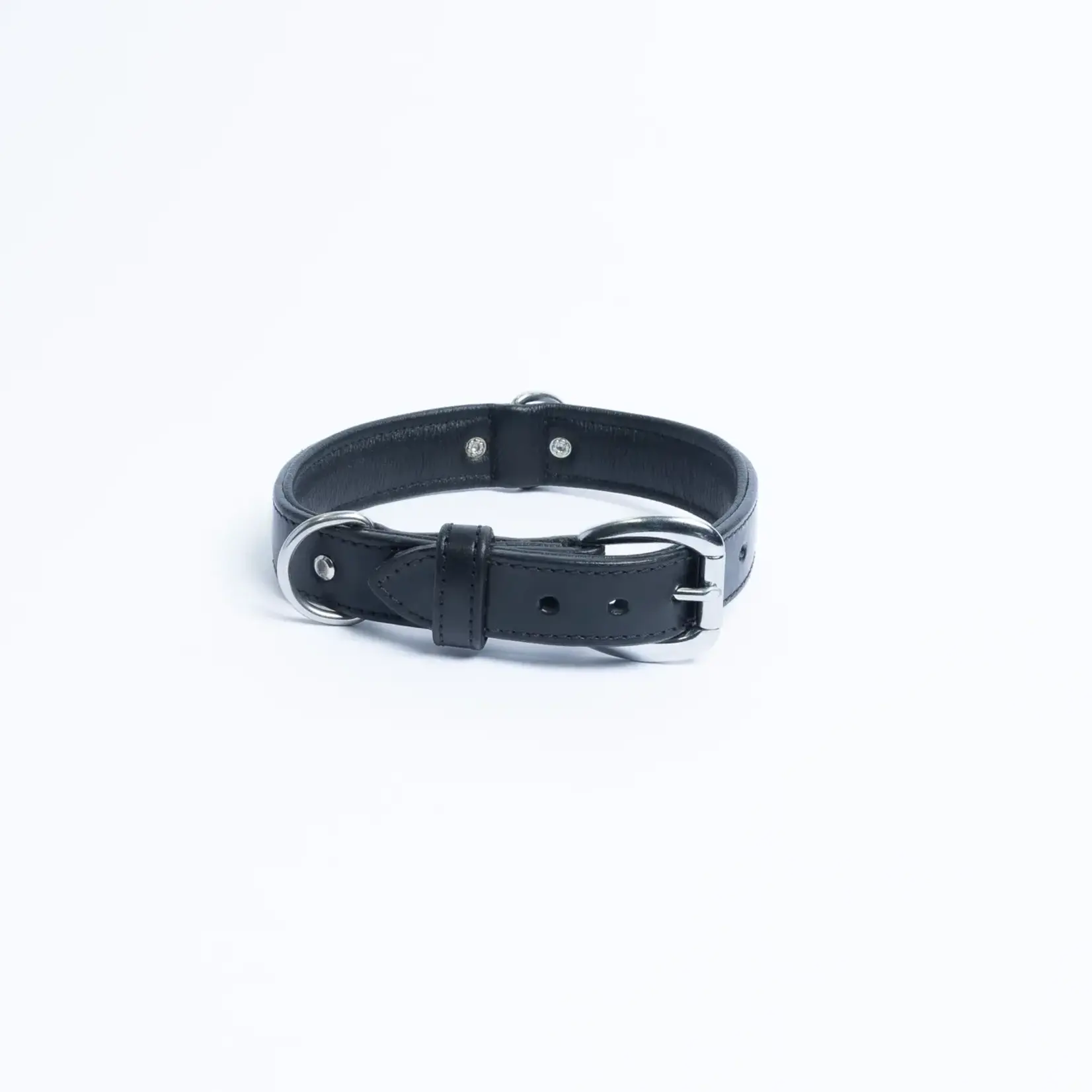 Angel - Dallas Dog Collar