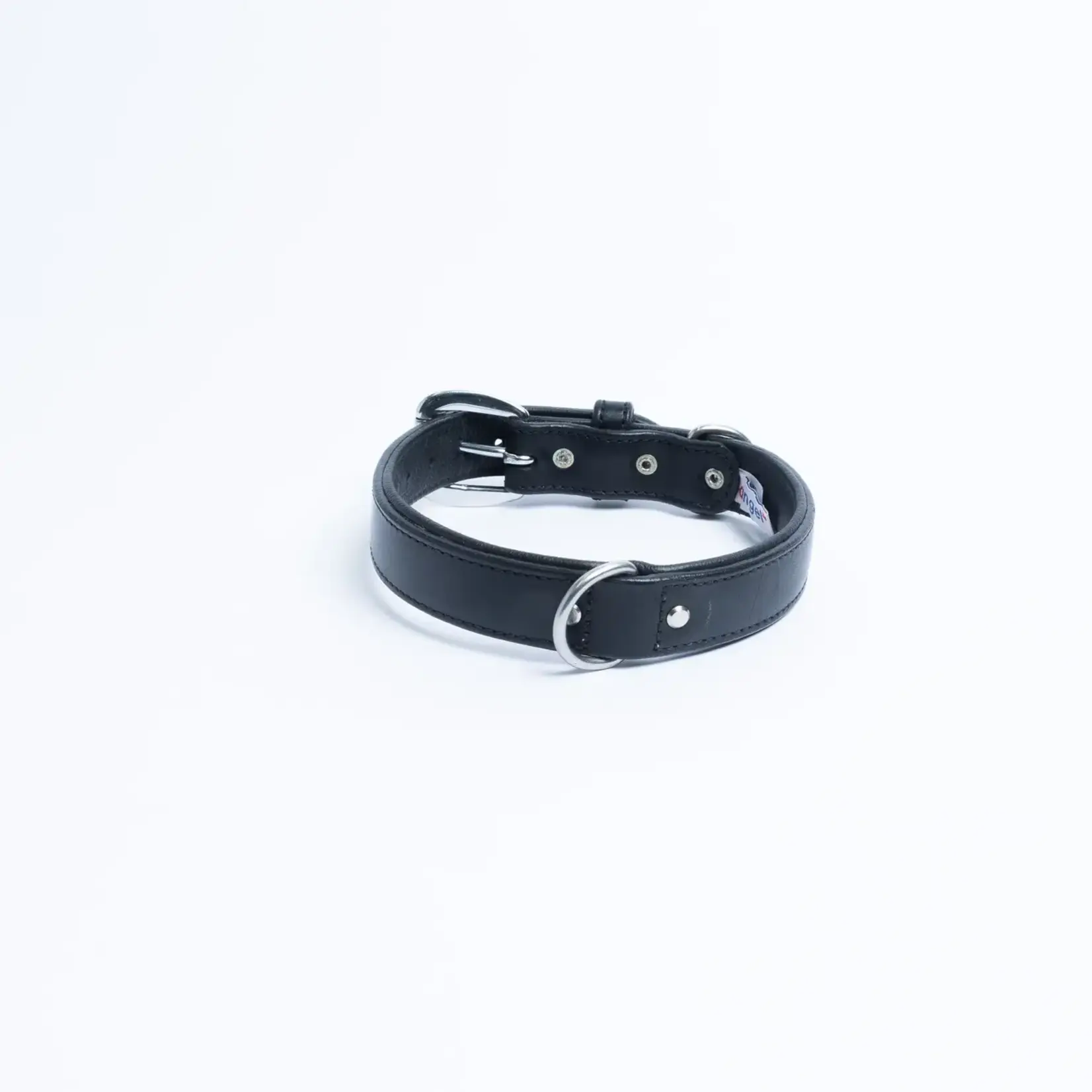 Angel - Dallas Dog Collar