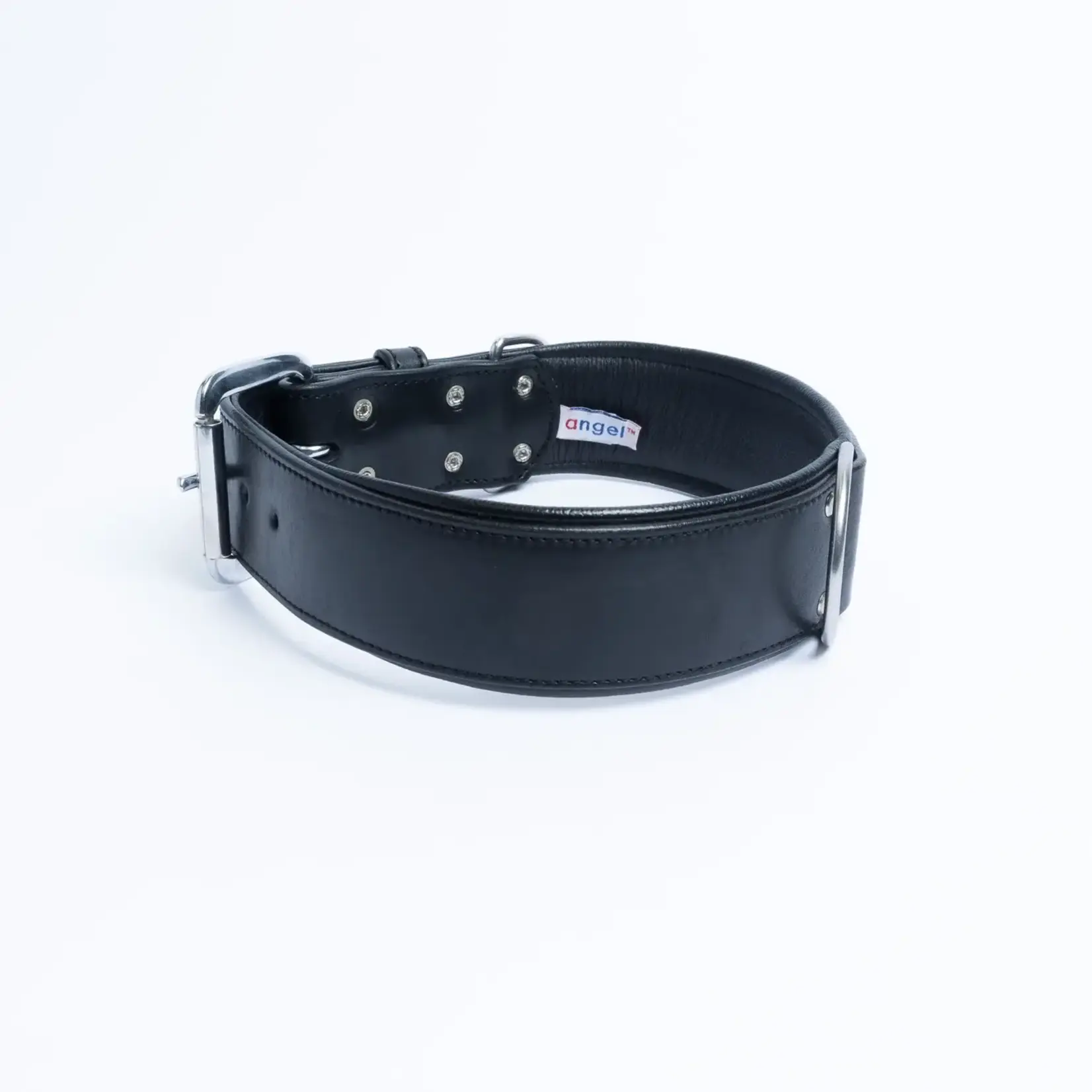 Angel - Dallas Dog Collar