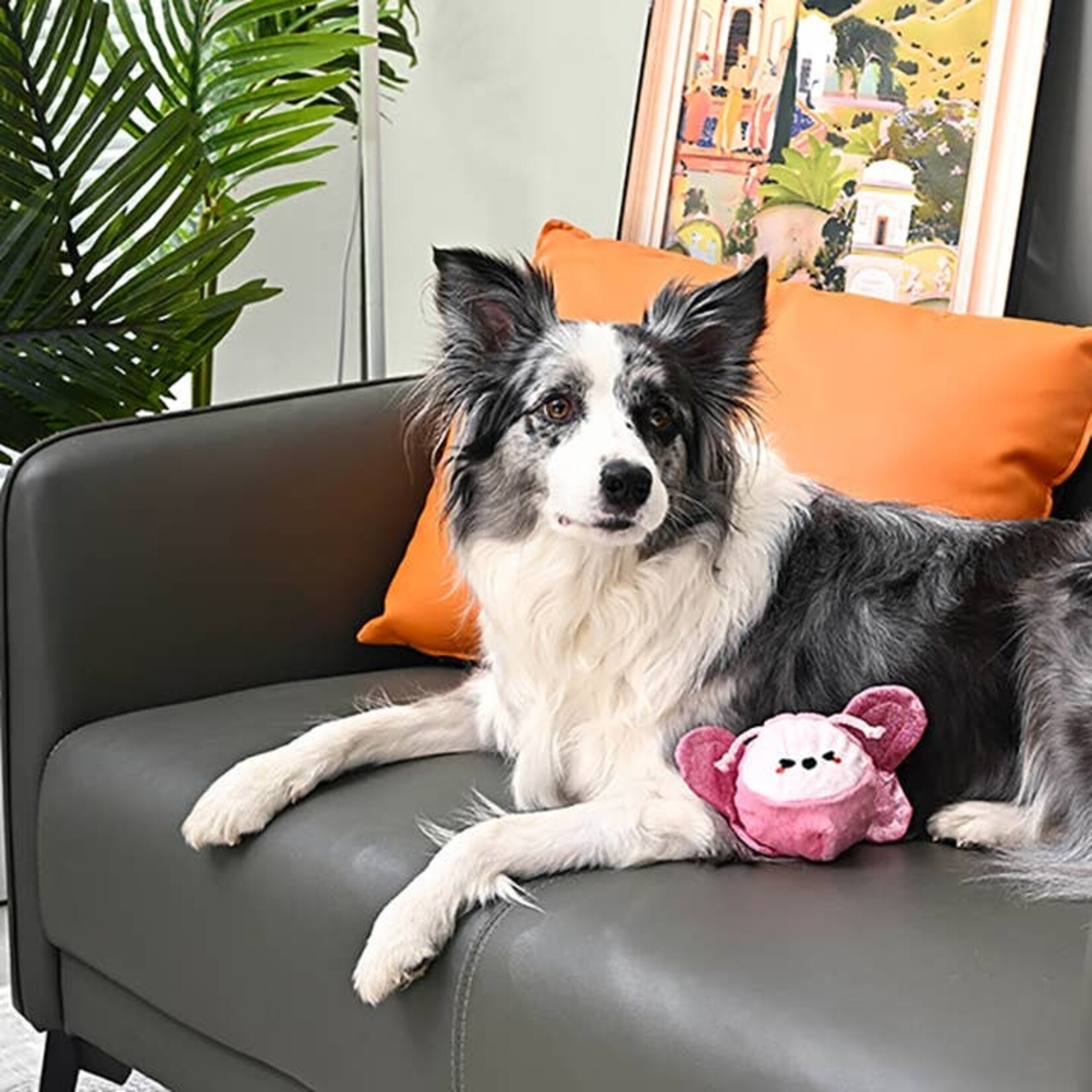 Hugsmart - Super Ball - Puppy Garden - Papillon