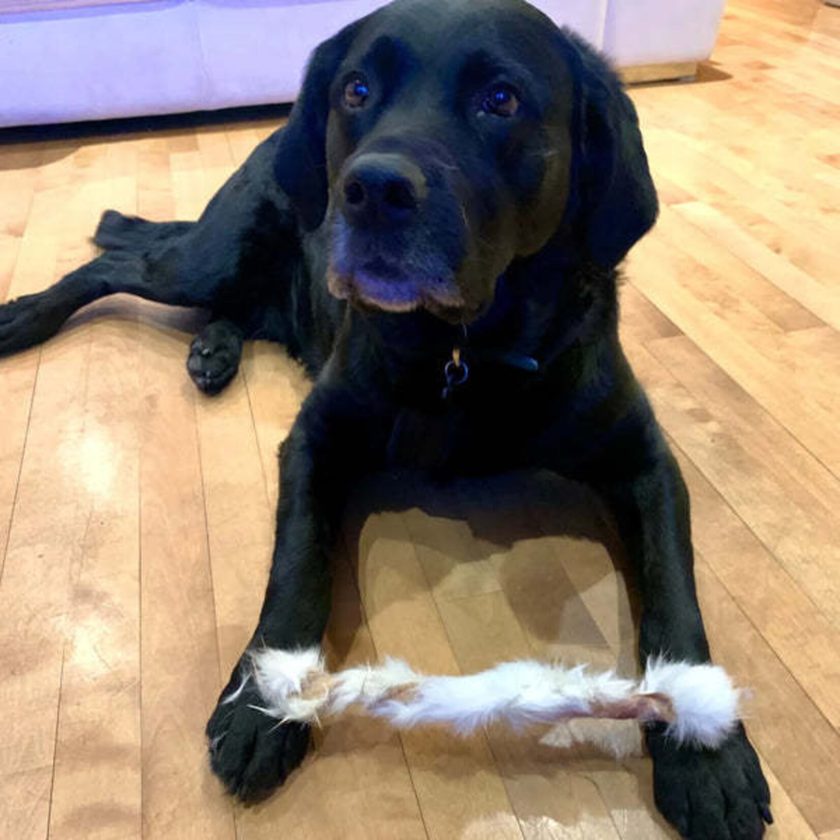 Happy Chew - Rabbit Twist