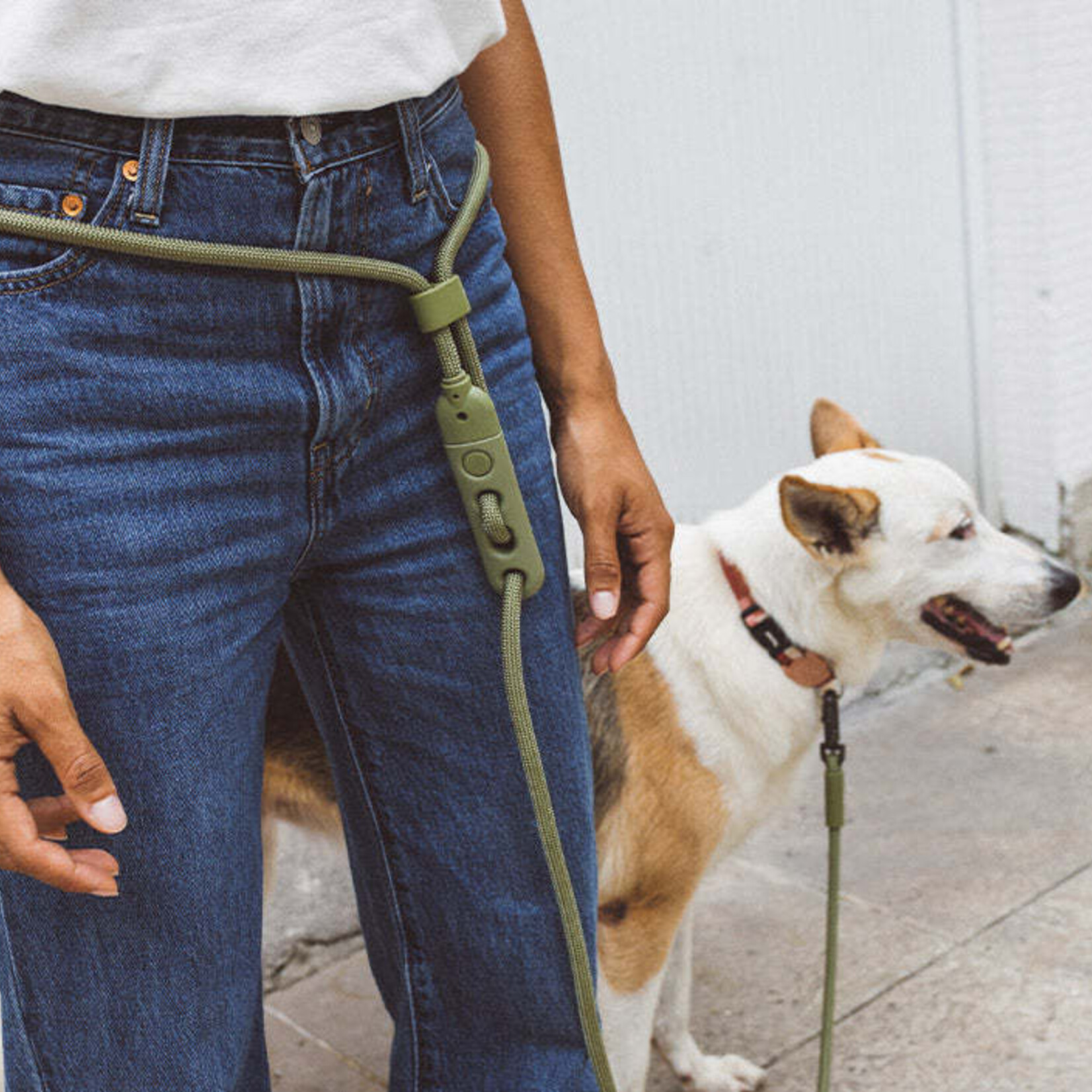ZeeDog zee.dog - Hands-free Leash - Army Green