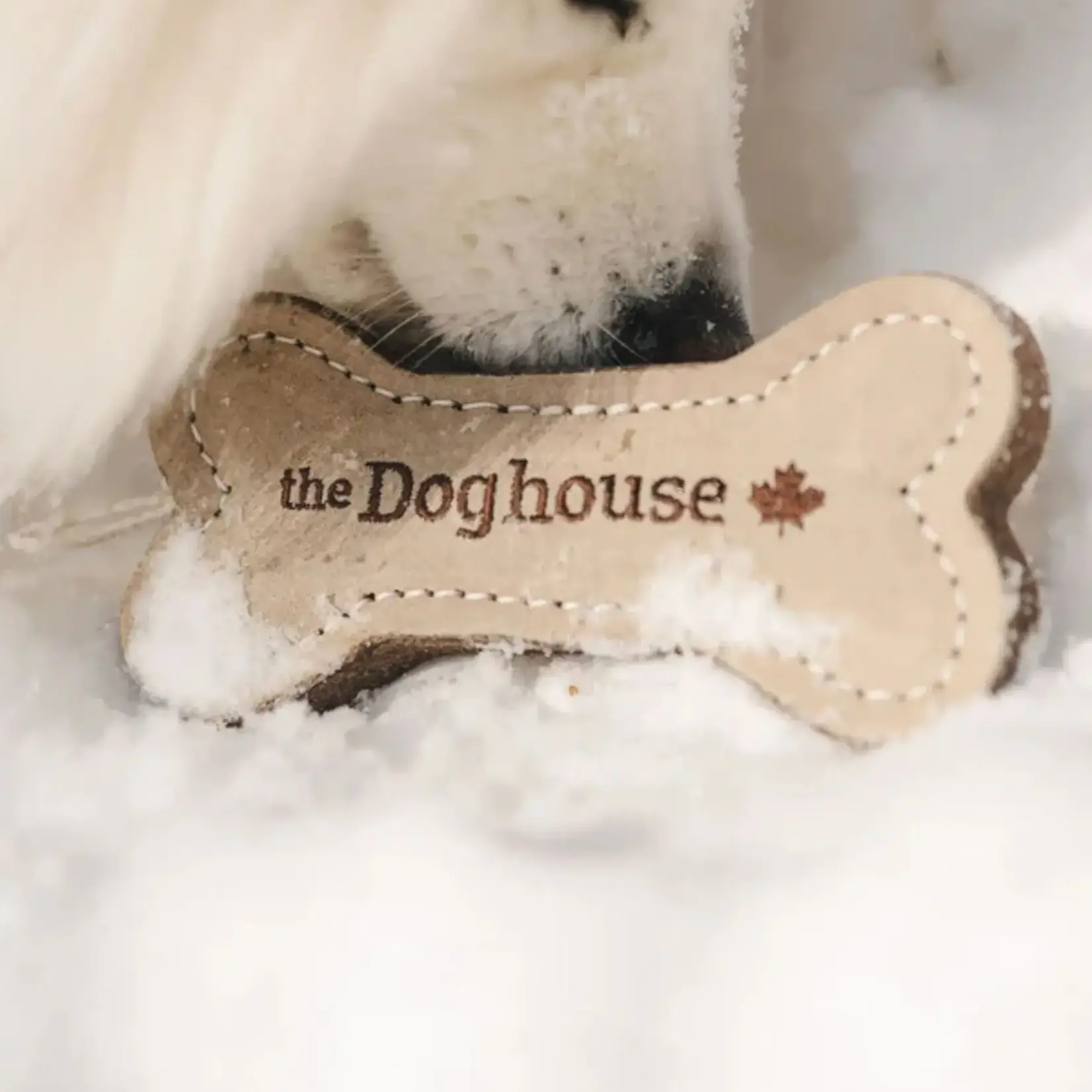 The Doghouse - Cuir et laine - Os