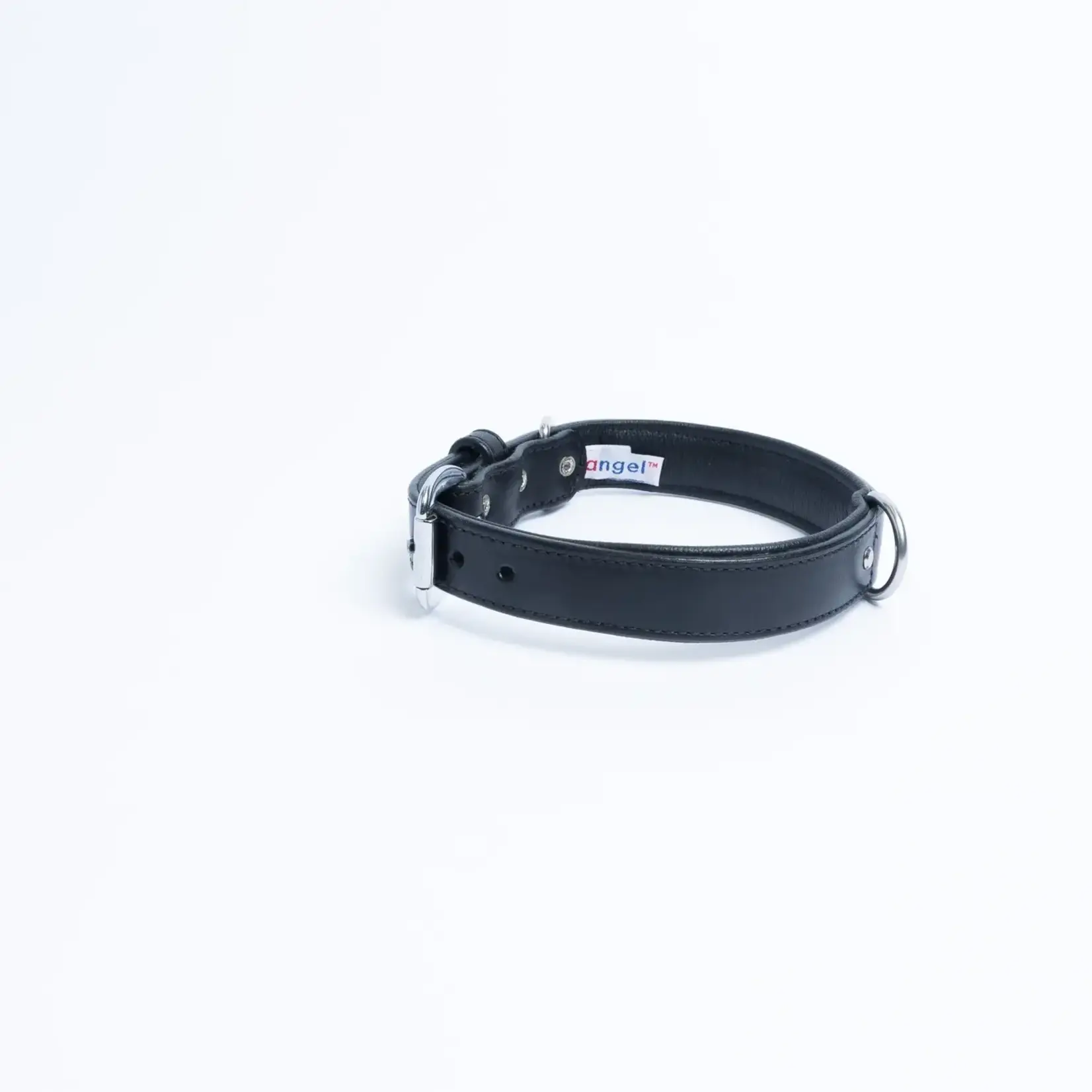 Angel - Dallas Dog Collar