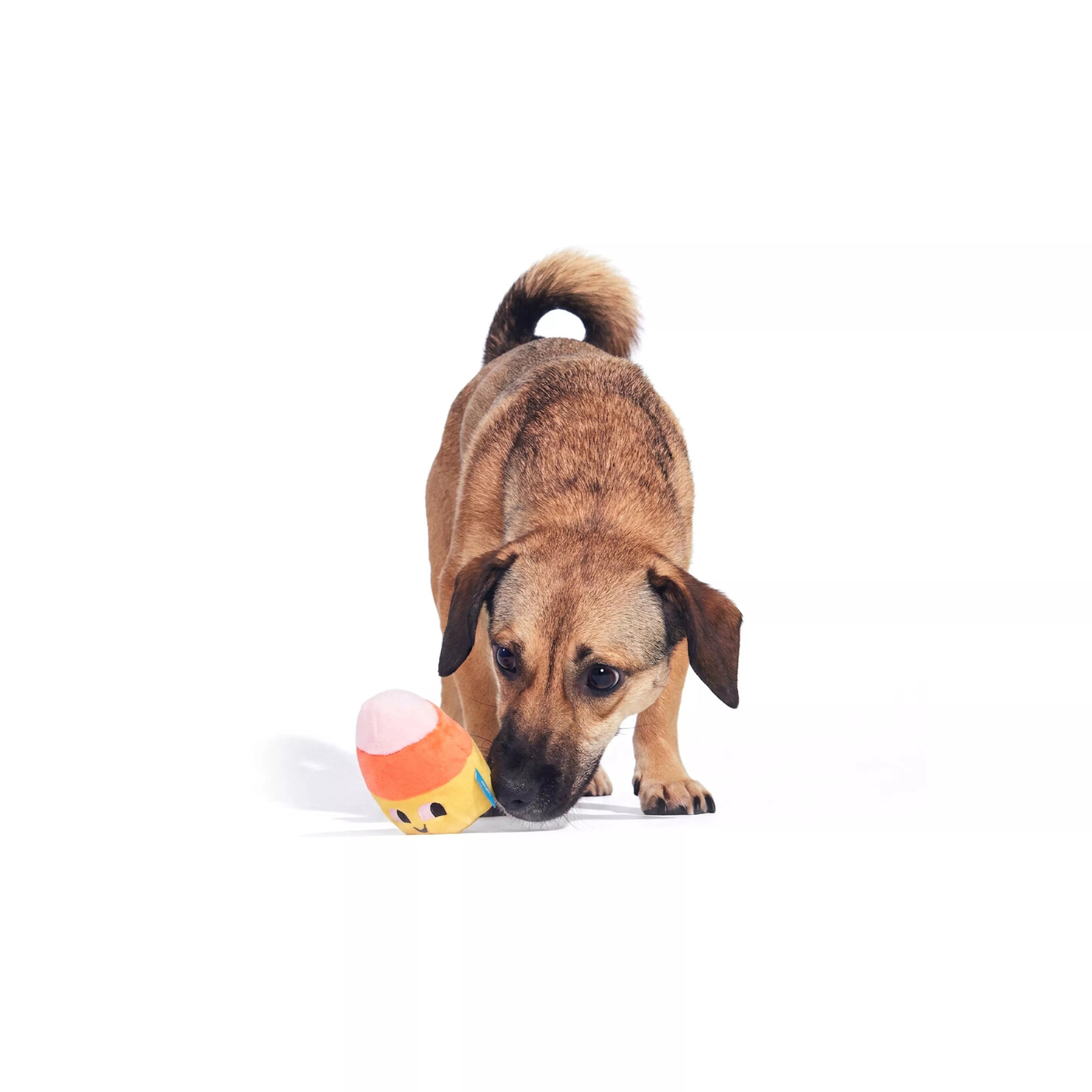 BARK BARK - Candy Corn Kids - Paquet de 2