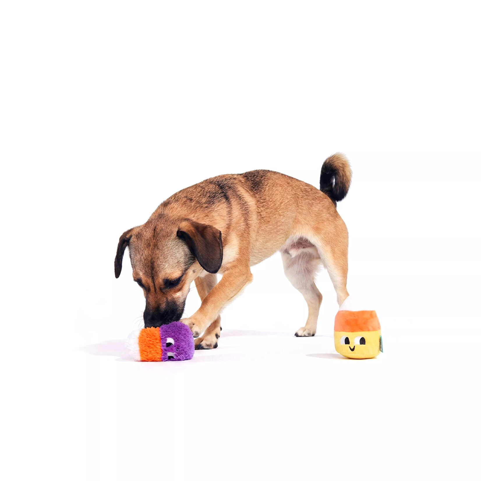 BARK Bark - Candy Corn Kids - 2 Pack