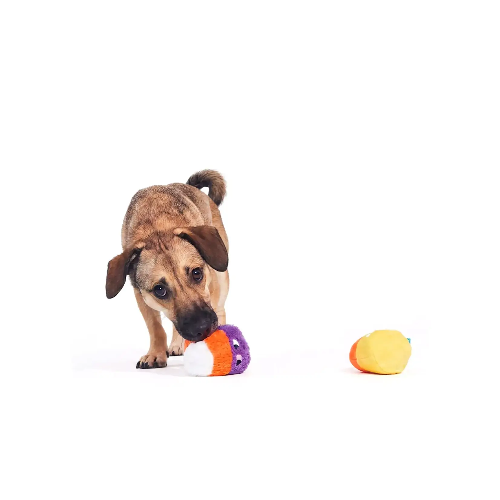 BARK BARK - Candy Corn Kids - Paquet de 2