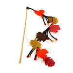 Dharma Dog Karma Cat - Teaser - Feuilles et baies d'automne