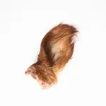 Grand Valley Quail - Oreilles de bœuf avec poils (petites)