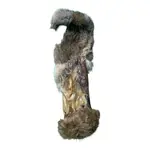 Grand Valley Quail - Rabbit Hide