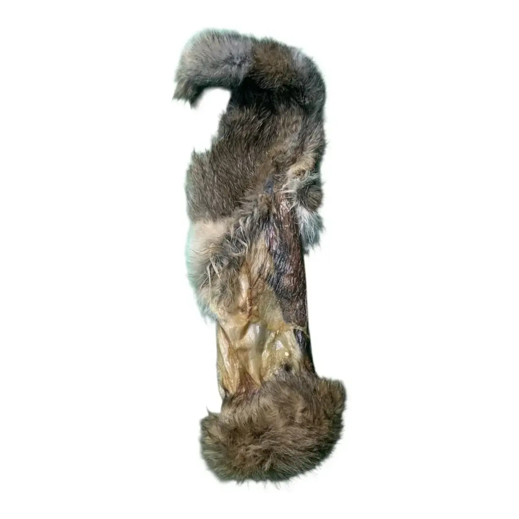 Grand Valley Quail - Peau de lapin