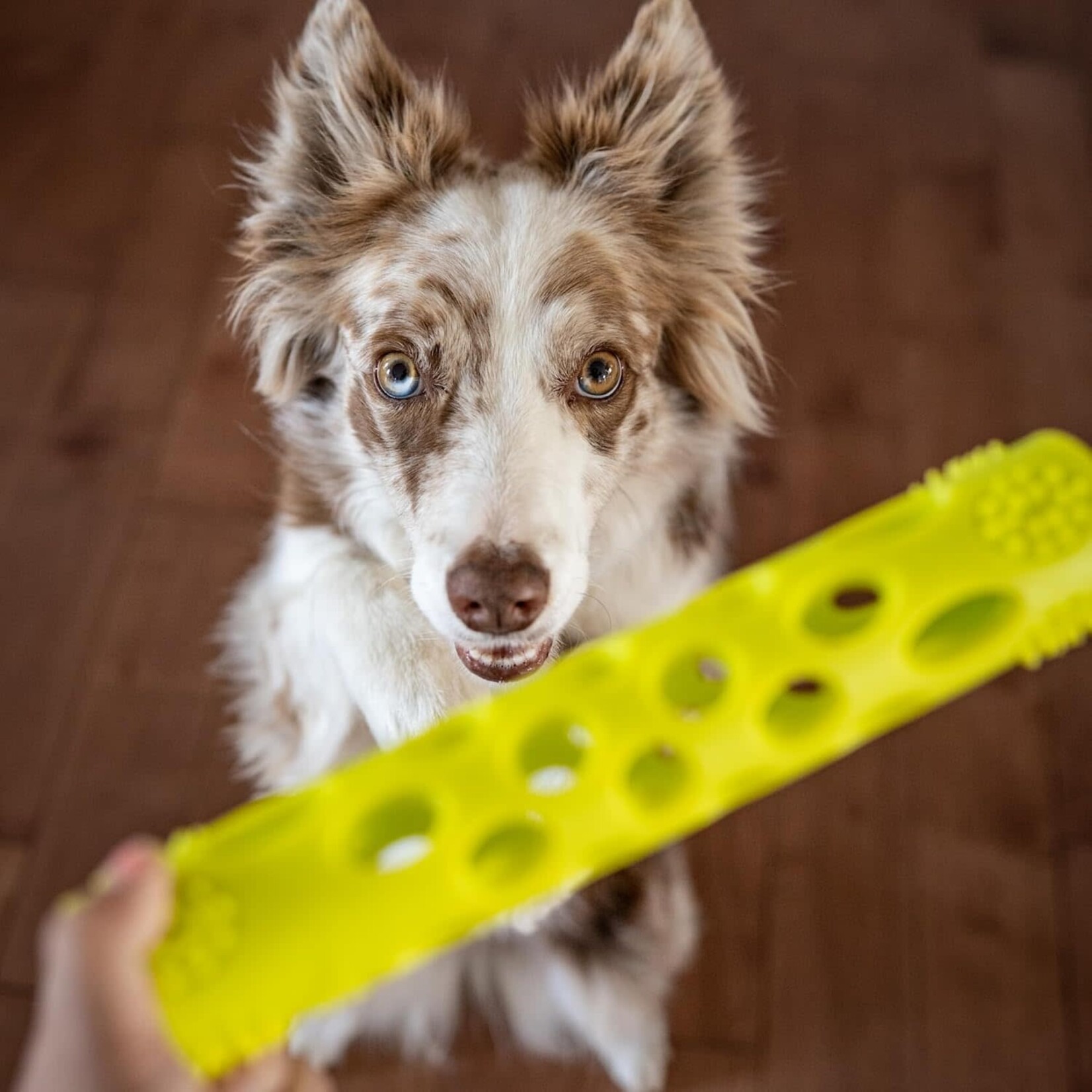 Totally Pooched - Huff'n Puff - Throw Stick