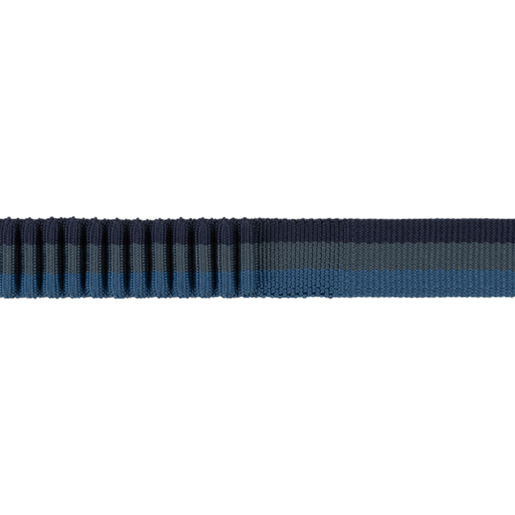 Ruffwear Ruffwear - Laisse Roamer - Orion Bleu