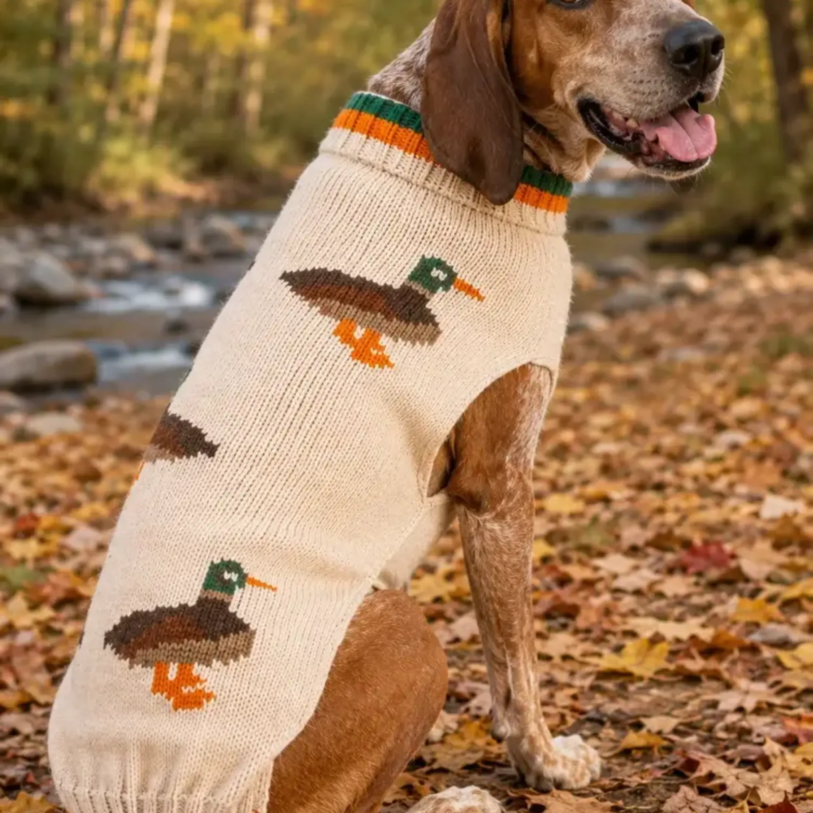 Chilly Dog Sweaters - Lucky Duck Wool Sweater