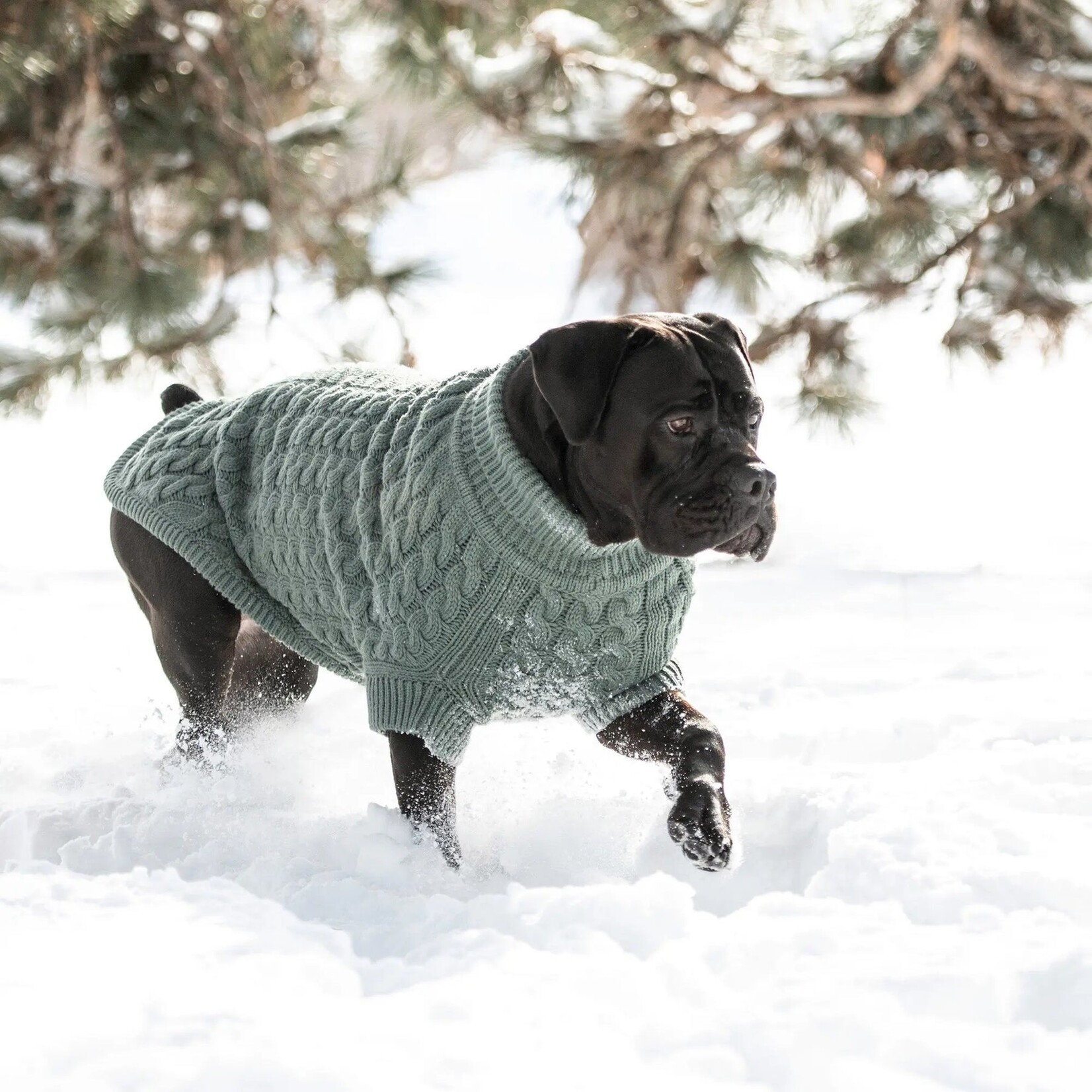 GF Pet - Chalet Sweater - Sage