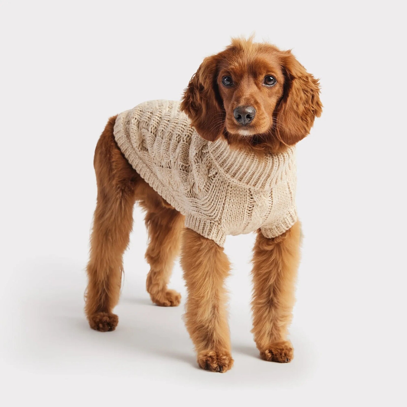 GF Pet - Pull pour chien Chalet  - Avoine