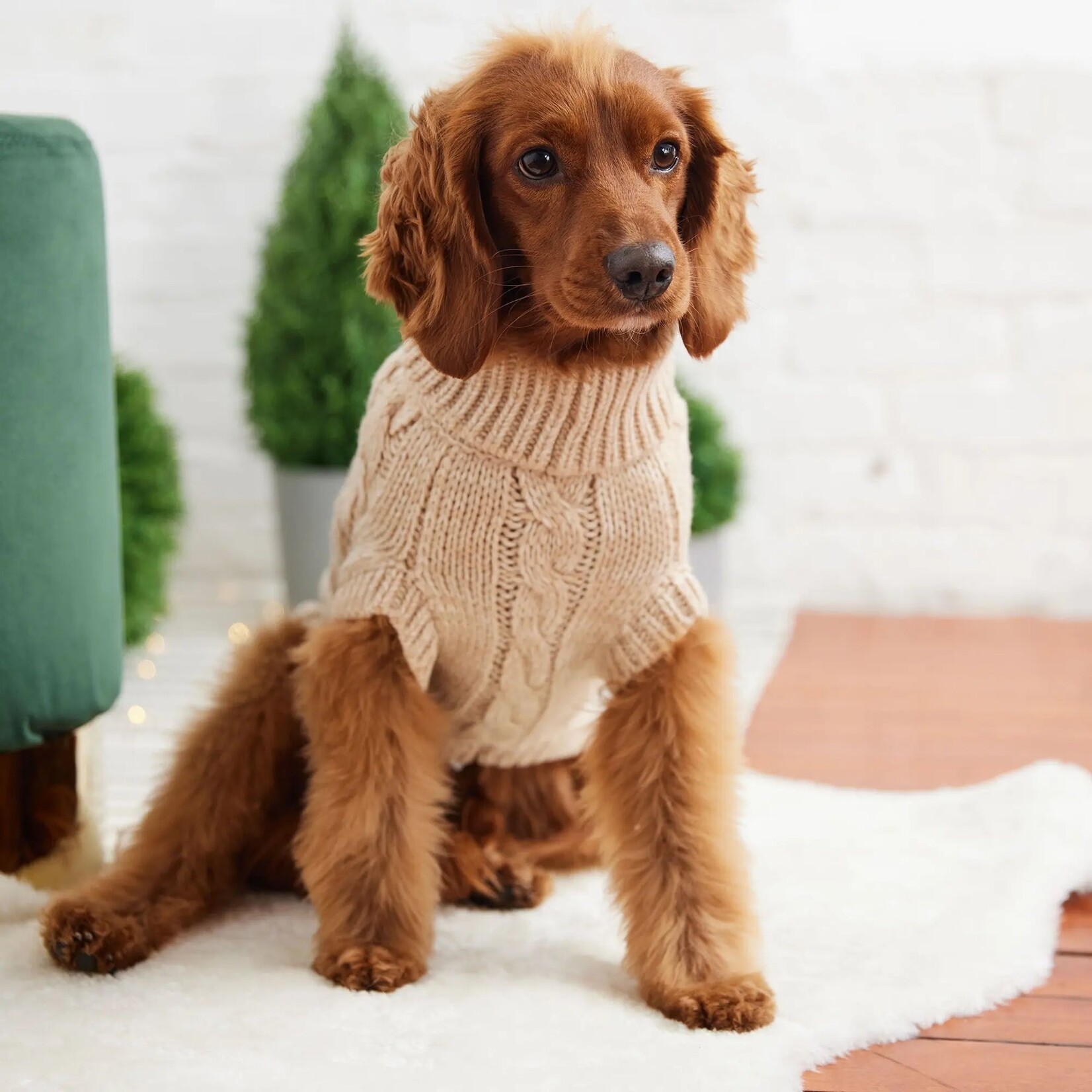 GF Pet - Chalet Sweater - Oatmeal