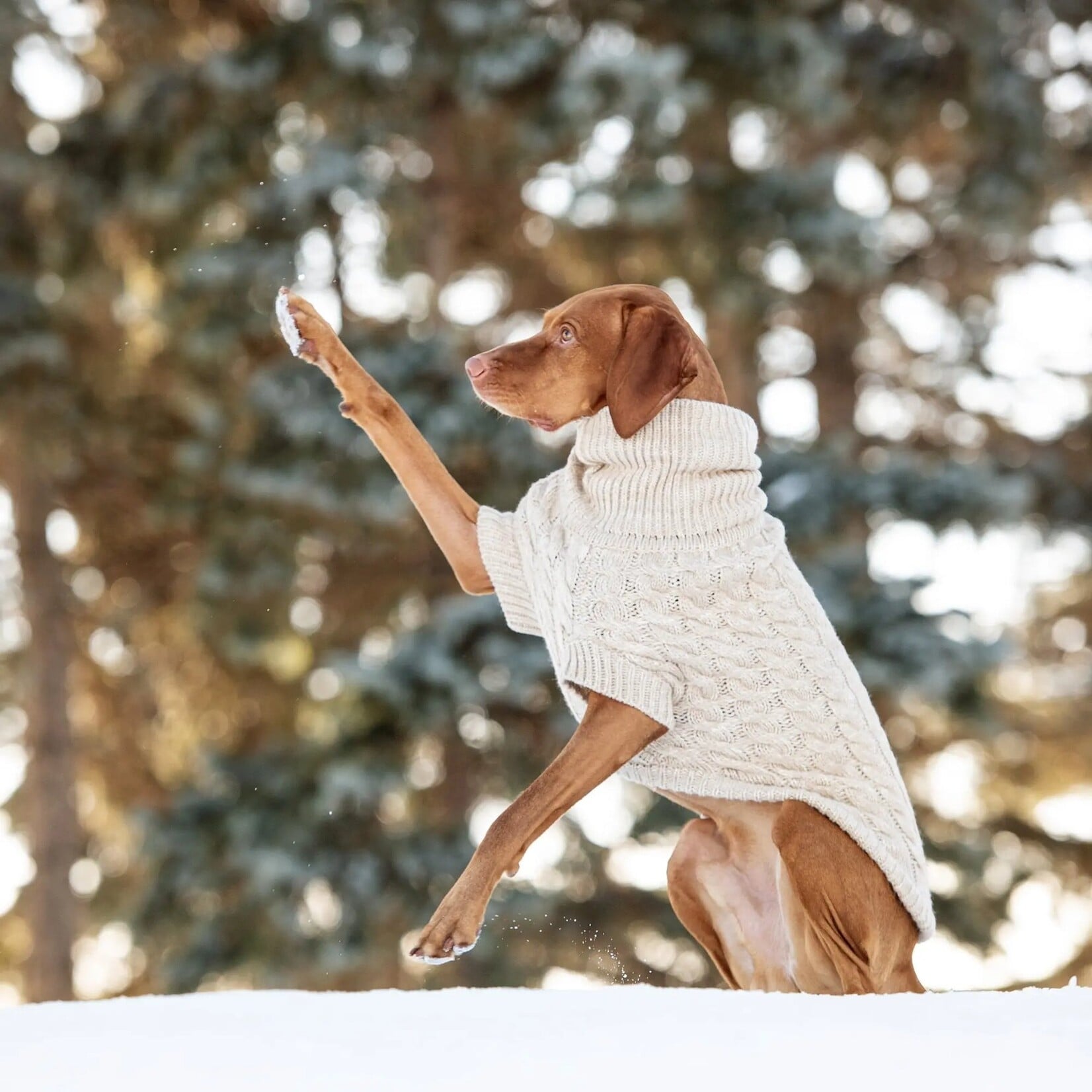 GF Pet - Chalet Sweater - Oatmeal