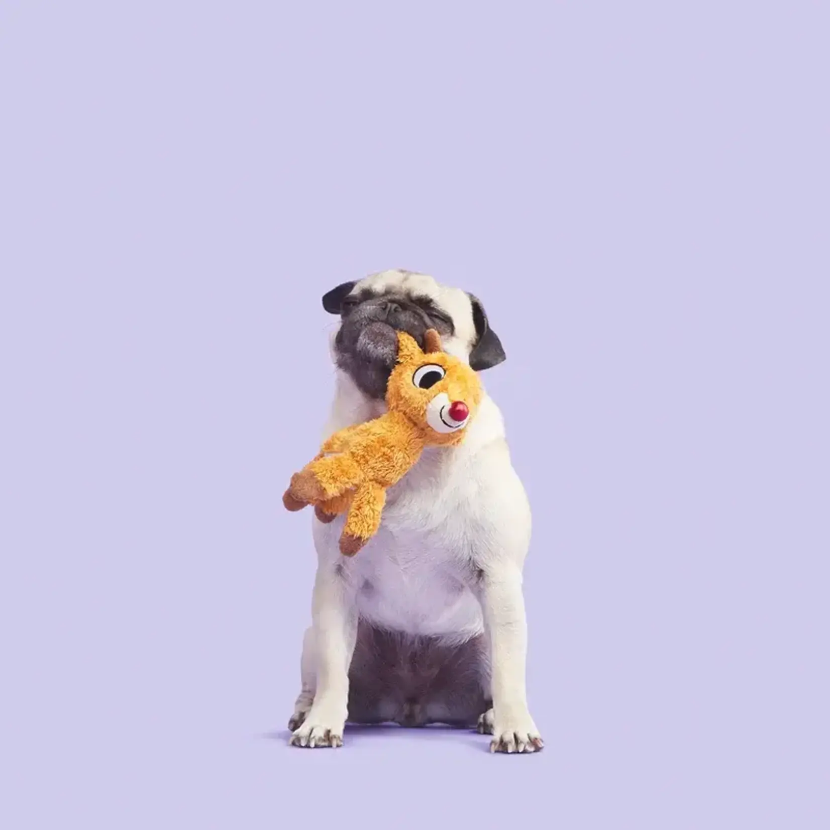 BARK BARK - Runnin’ Rudolph