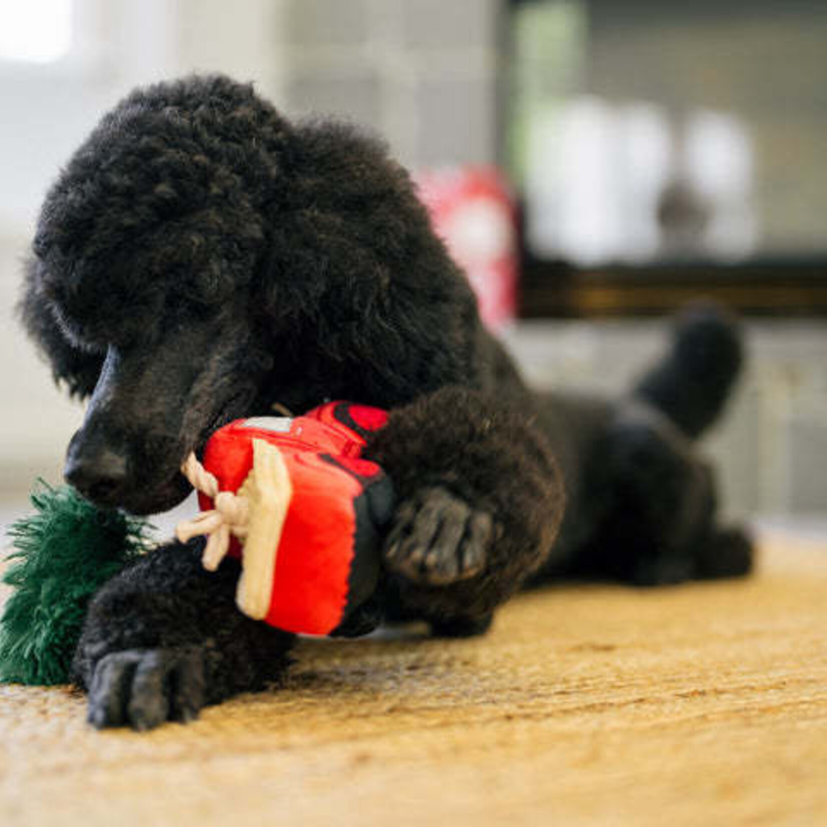 Pet P.L.A.Y – Home for the Holidays – Holiday Hauler