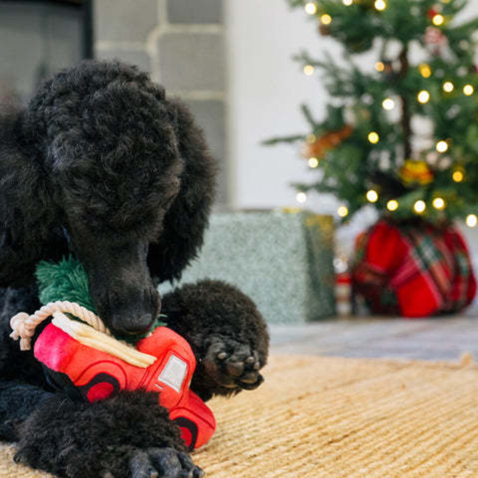 Pet P.L.A.Y – Home for the Holidays – Camion de Noël