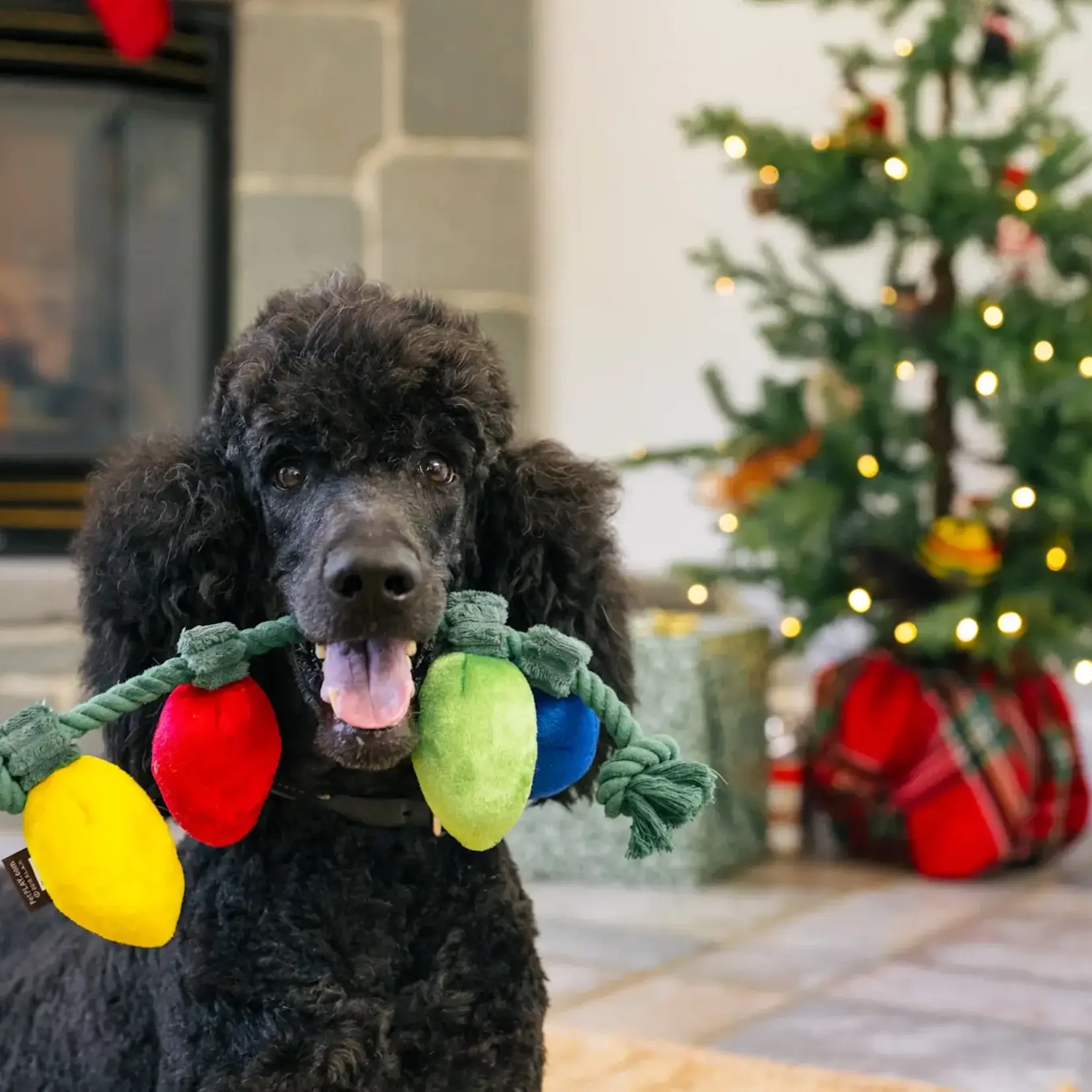 Pet Play -  Home for the Holidays - Twinkly Tugger