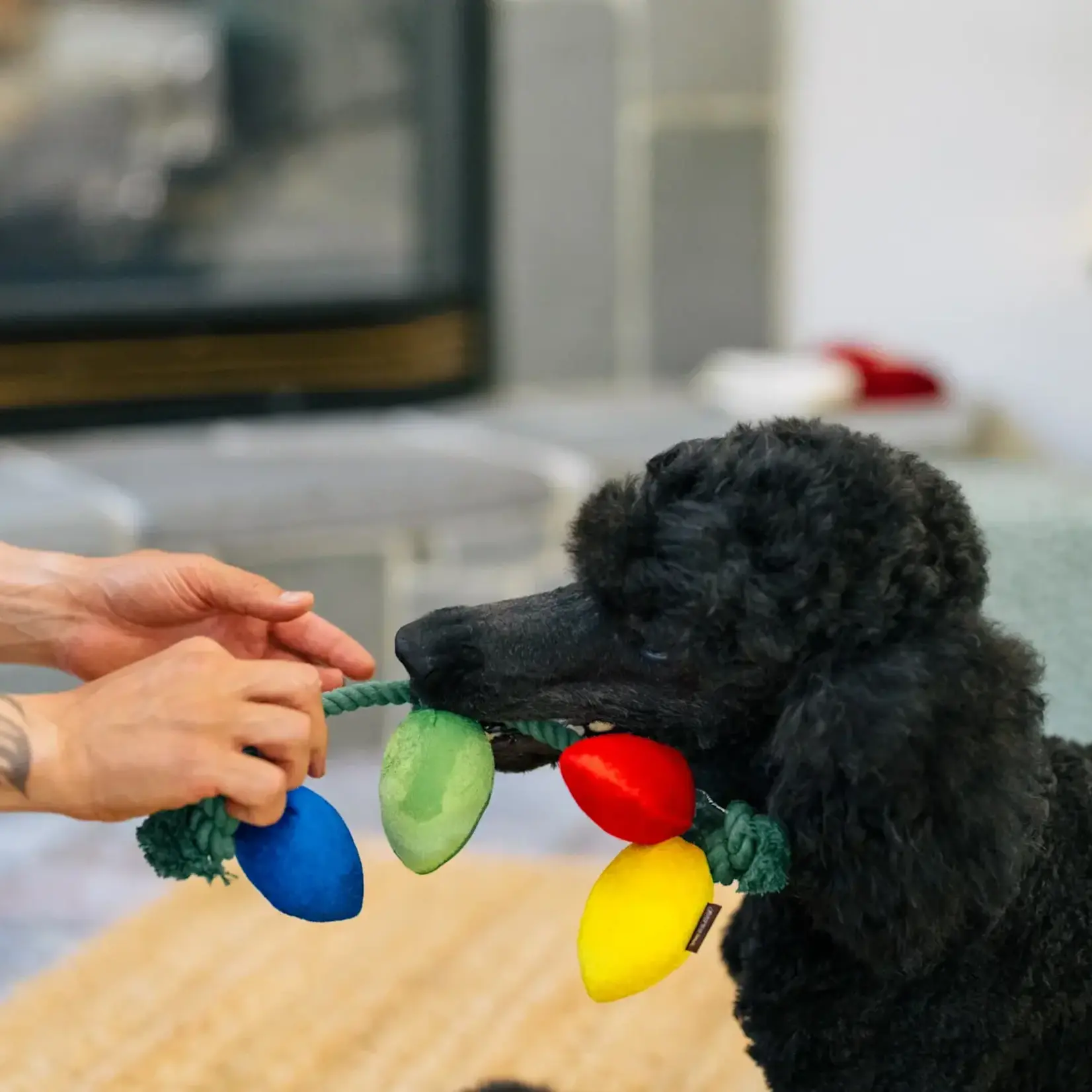 Pet Play -  Home for the Holidays - Twinkly Tugger