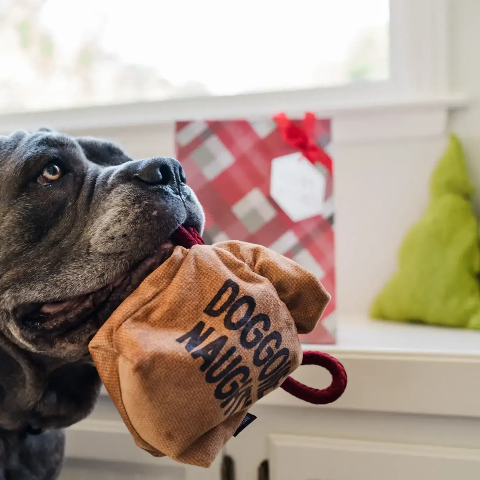 Pet Play - Home for the Holidays - Sac de charbon