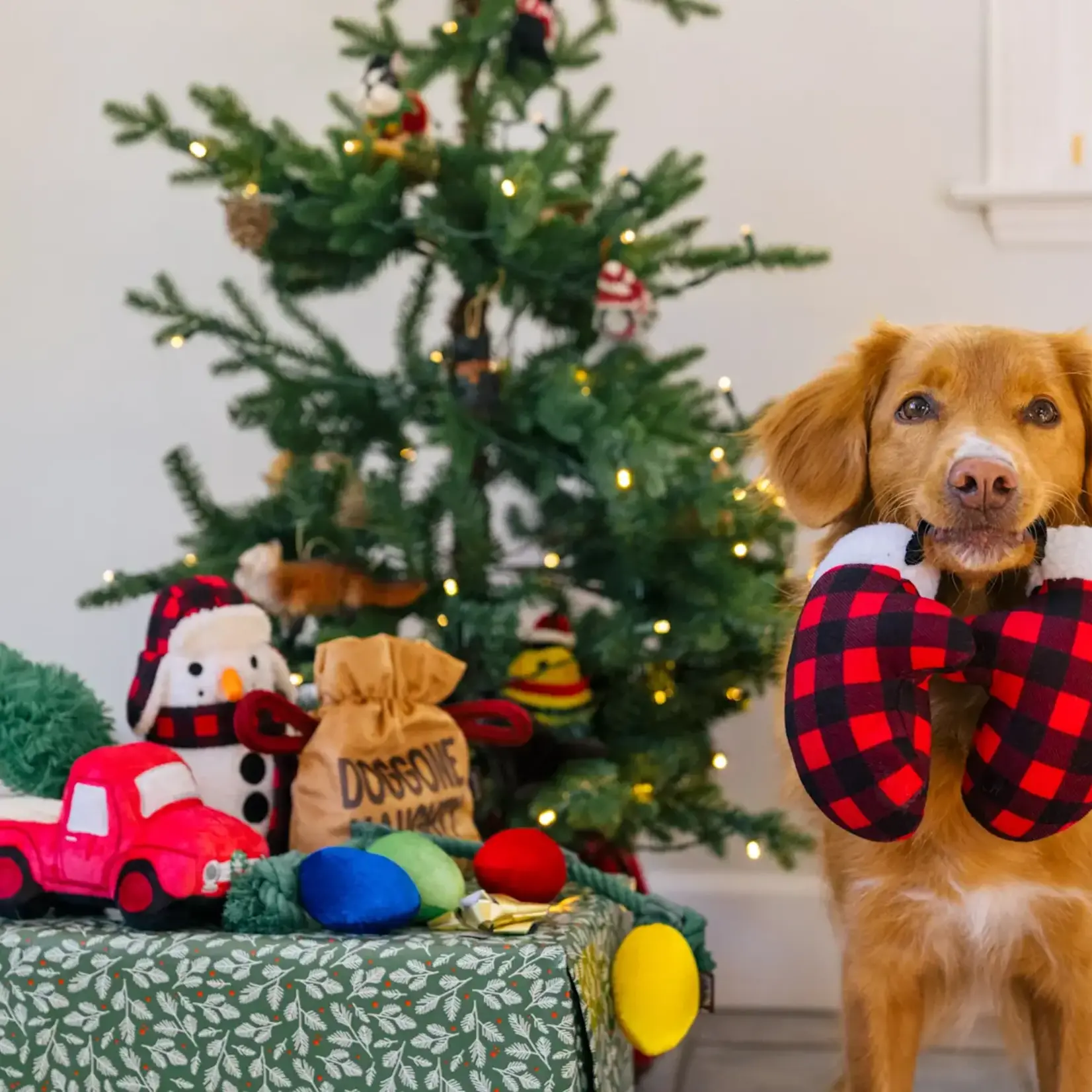 Pet Play - Home for the Holidays - Paw Warmers