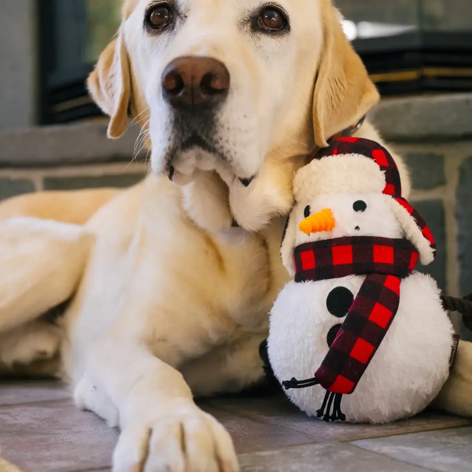 Pet Play - Home for the Holidays - Blizzard Buddy