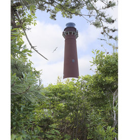 Big Dog Puzzles Barnegat Lighthouse (513pc)