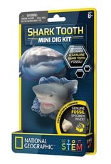 Shark Tooth Mini Dig Kit