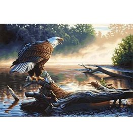 Dimensions Eagle Hunter (Professional)