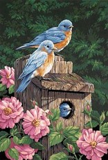 Dimensions Garden Bluebirds (Professional)