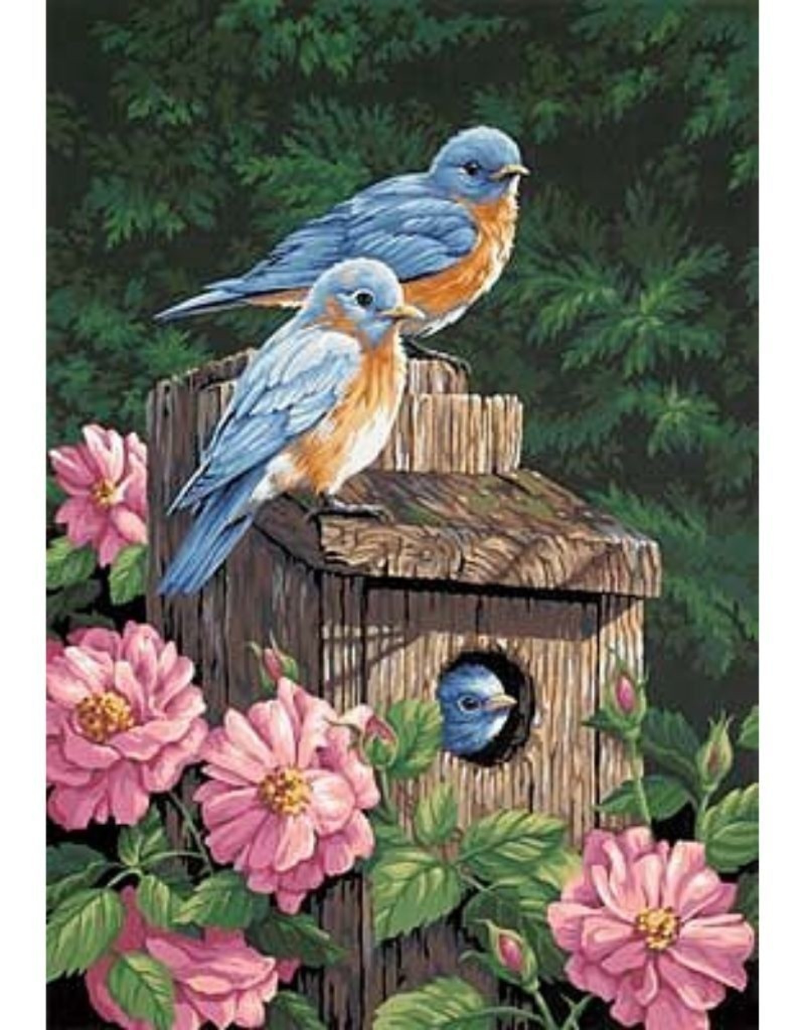 Dimensions Garden Bluebirds (Professional)