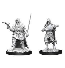 WizKids Human Rogue Male