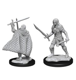 WizKids Elf Fighter Male