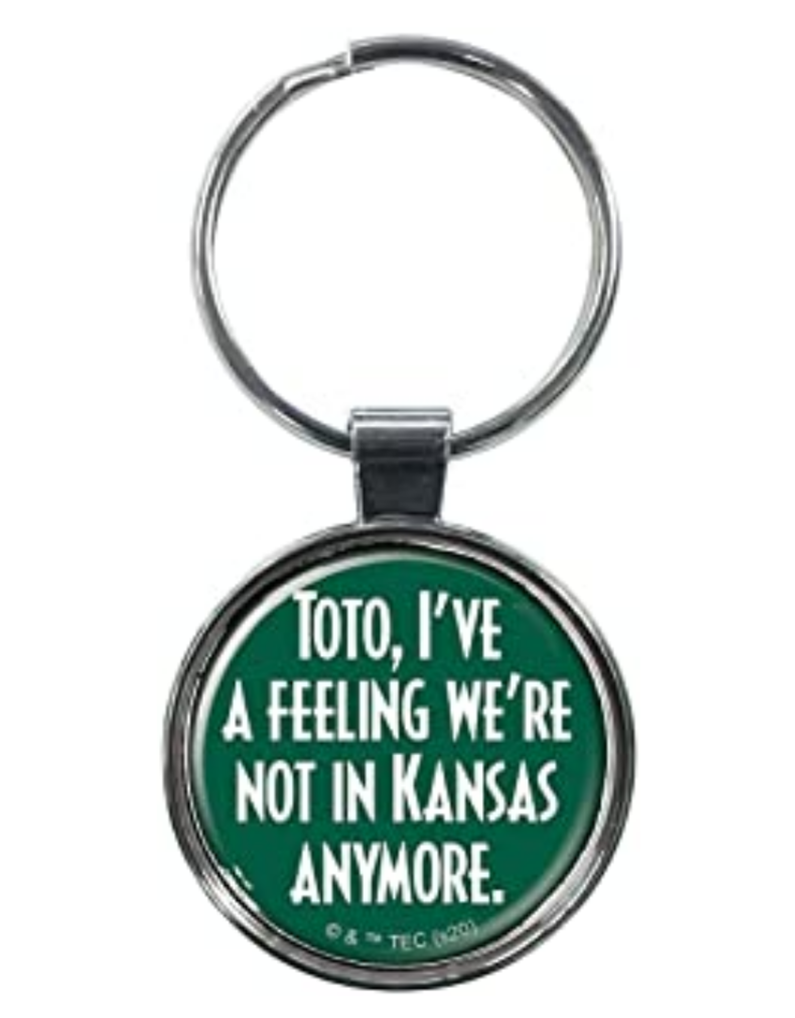 Ata-Boy The Wizard of Oz: We're Not in Kansas Anymore Keychain
