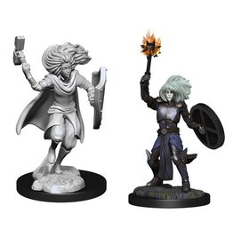 WizKids Changeling Cleric