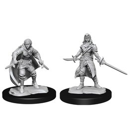 WizKids Half-Elf Rogue Female