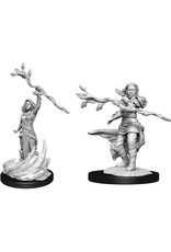 WizKids Human Druid Female