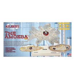 Atlantis Models Amoeba Single Cell Model Kit