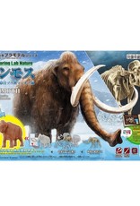 Exploring Lab Nature - Wooly Mammoth