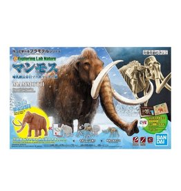 Exploring Lab Nature - Wooly Mammoth