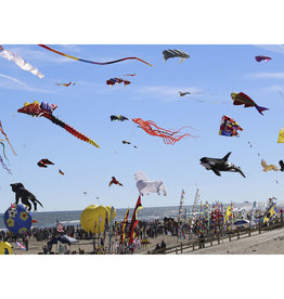 Big Dog Puzzles High Flying Kites (513pc)